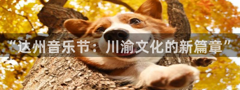 新航娱乐官网：“达州音乐节：川渝文化的新篇章”