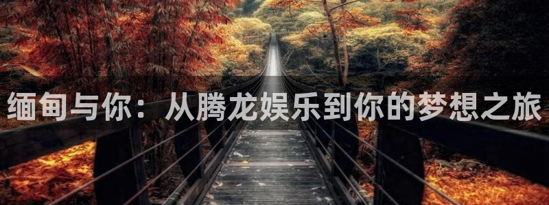 新航娱乐官网：缅甸与你：从腾龙娱乐到你的梦想之旅