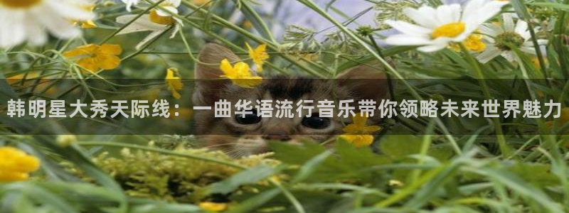 新航娱乐注册：韩明星大秀天际线：一曲华语流行音乐带你领略未来世界魅力