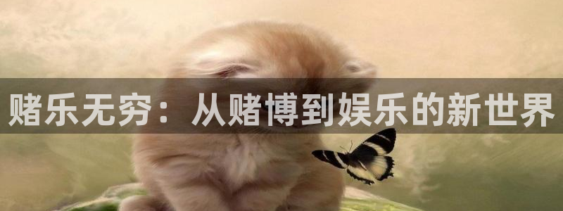 新航娱乐登录地址：赌乐无穷：从赌博到娱乐的新世界