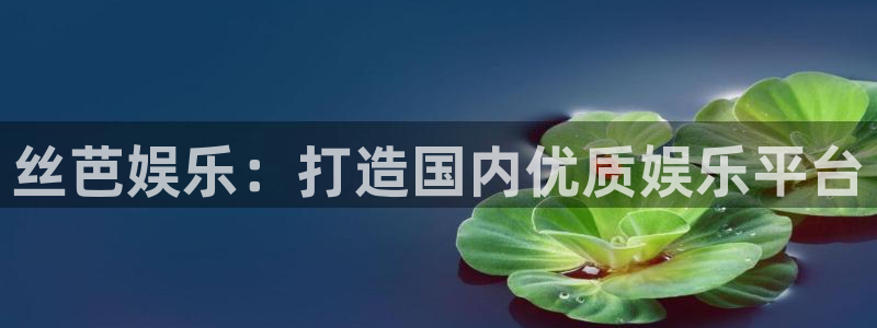 新航娱乐官网登录入口：丝芭娱乐：打造国内优质娱乐平台