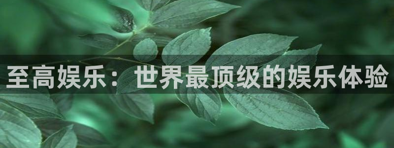 新航娱乐官网登录入口：至高娱乐：世界最顶级的娱乐体验