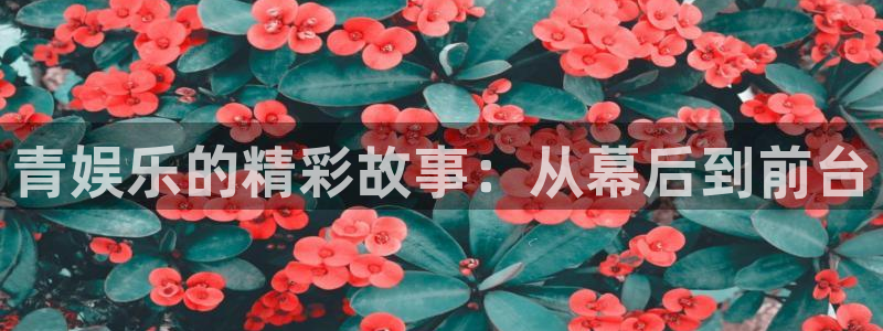 新航娱乐官网登录入口：青娱乐的精彩故事：从幕后到前台