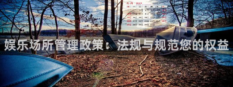 新航娱乐注册：娱乐场所管理政策：法规与规范您的权益