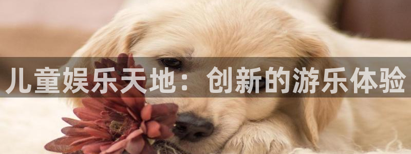 新航娱乐官网：儿童娱乐天地：创新的游乐体验