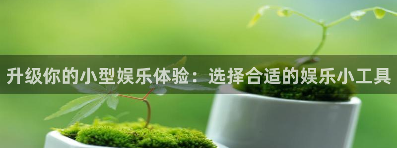 新航娱乐官网：升级你的小型娱乐体验：选择合适的娱乐小工具
