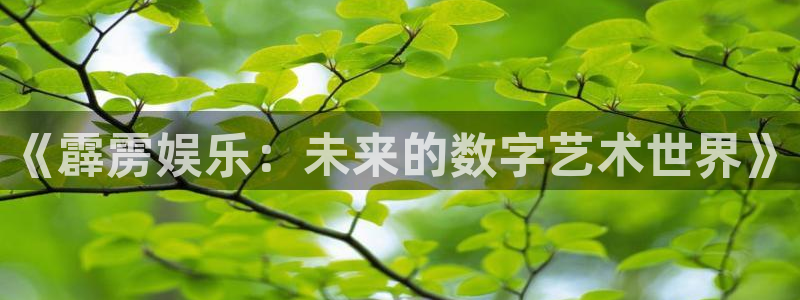 新航娱乐官网：《霹雳娱乐：未来的数字艺术世界》
