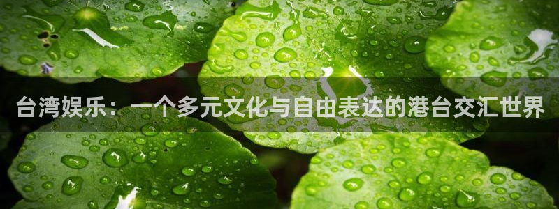 新航娱乐注册：台湾娱乐：一个多元文化与自由表达的港台交汇世界