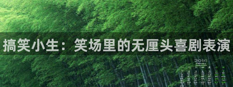新航娱乐登录地址：搞笑小生：笑场里的无厘头喜剧表演